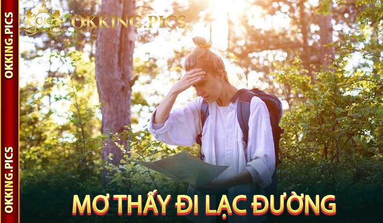 Mơ Thấy Đi Lạc Đường